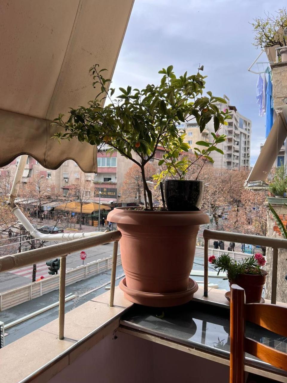 3M Urban Stay Tiranë Luaran gambar